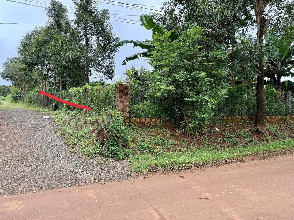 Nhà phố hẻm 34 Kí Con, Pleiku 110m² giá 800 triệu - Khu dân cư đông đúc gần trường học!