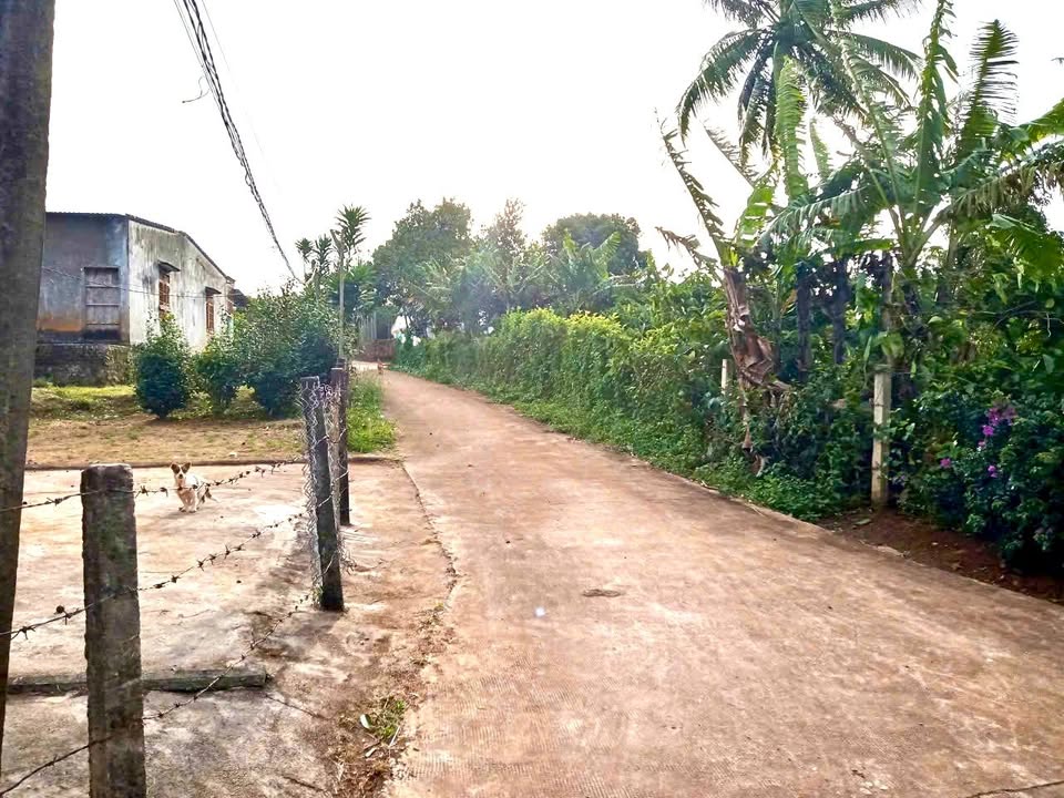 Đất nền Hòa Phú, Chư Păh 2400m² giá chỉ 3xx triệu - Cơ hội đầu tư tuyệt vời!