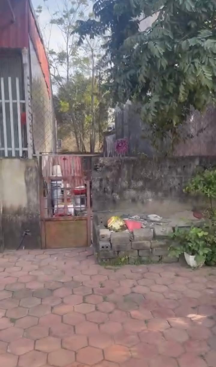 Đất thổ cư Ninh Tốn, Đông Sơn 80m² giá 1 tỷ - Kinh doanh thuận lợi!