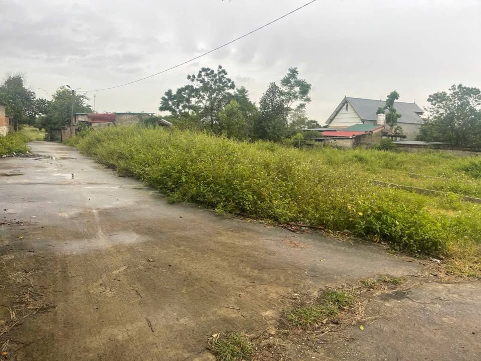 Đất thổ cư 2 mặt tiền tại thôn Danh Thượng 3, Hiệp Hòa - Giá chỉ 1 tỷ!