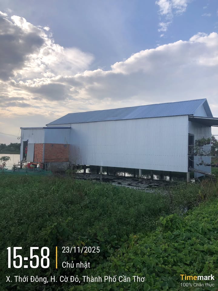 Đất nền xã Cờ Đỏ, TP Cần Thơ 322m² - Giảm ngay 30 triệu!