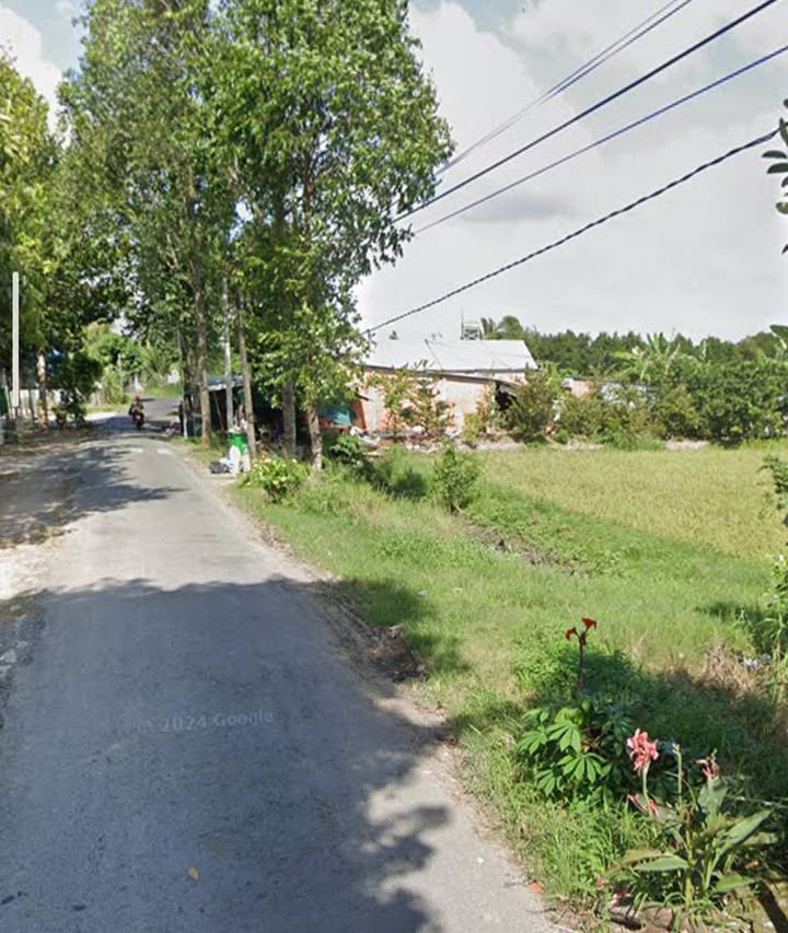 Đất ruộng Tân Long Hội 2877m² giá 3 tỷ - Gần trường học, mặt tiền lộ nhựa