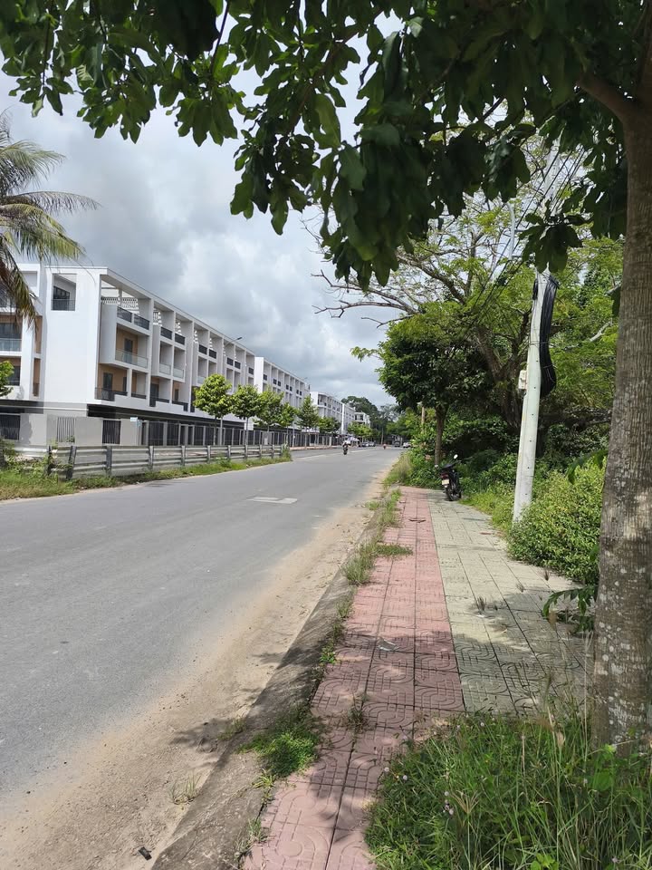 Đất nền mặt tiền đường Trần Văn Thế, Trà Vinh 1250m² - Cơ hội đầu tư tiềm năng!