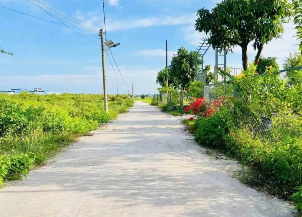 Đất nền 1000m² xã Hàm Liêm giá 500 triệu - Cơ hội đầu tư tuyệt vời!