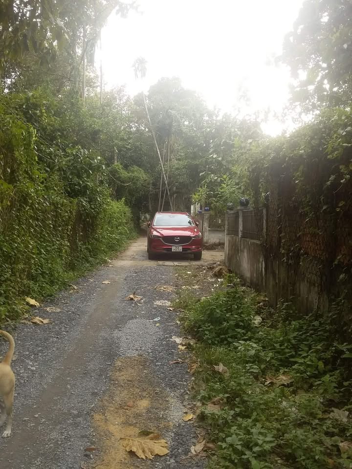 Phòng trọ cho thuê tại khu phố Thanh Quý, 20m² - Không gian yên tĩnh, tiện ích đầy đủ