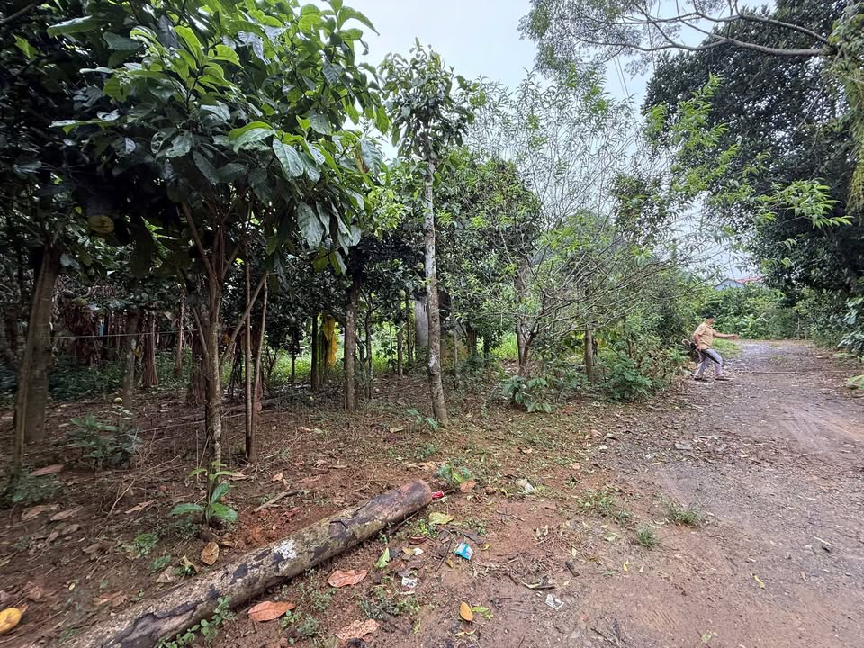 Đất nền lô góc 1200m² giá 1.14 tỷ - Đầu tư sinh lời tại Tú Sơn, Kim Bôi