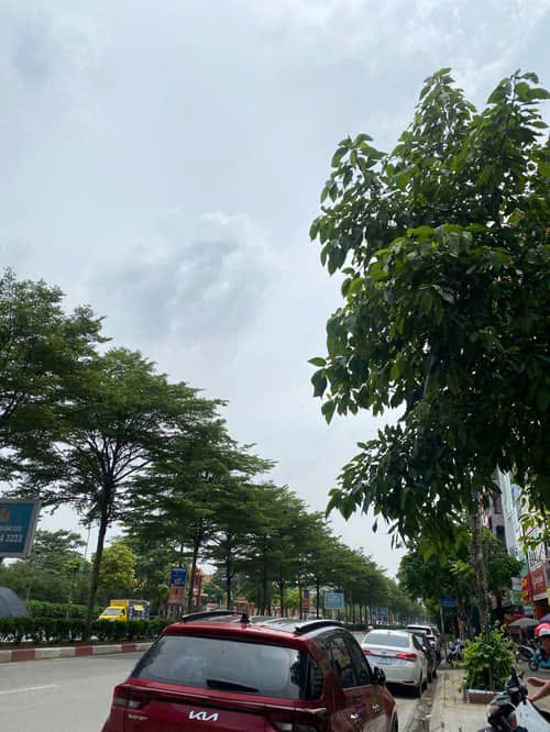 Tòa nhà văn phòng cho thuê tại đường Trần Vỹ, Cầu Giấy, Hà Nội - Diện tích 75m², thiết kế thông thoáng