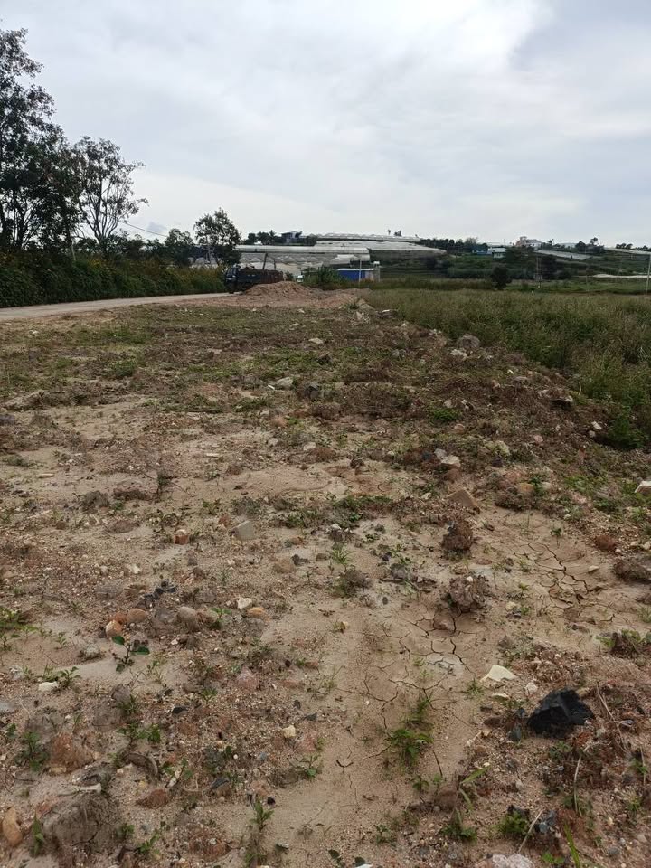 Đất nền Hòa Lạc - Đơn Dương 145m² giá 430 triệu - Cơ hội đầu tư nhanh tay!