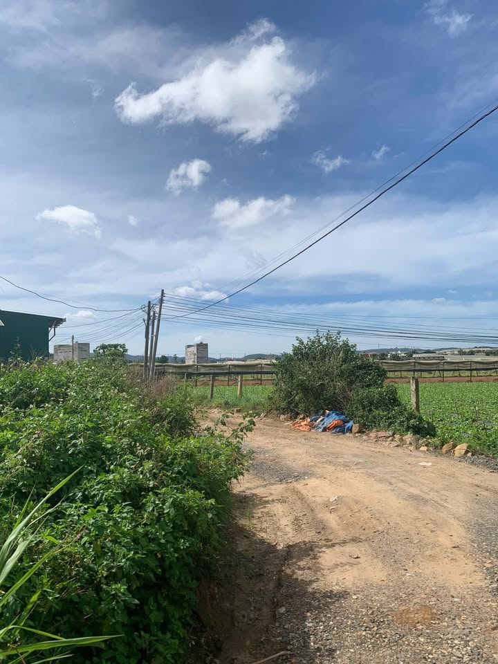 Đất thổ cư 2200m² Thạnh Mỹ 3.8 tỷ - Cơ hội đầu tư sinh lời ngay!