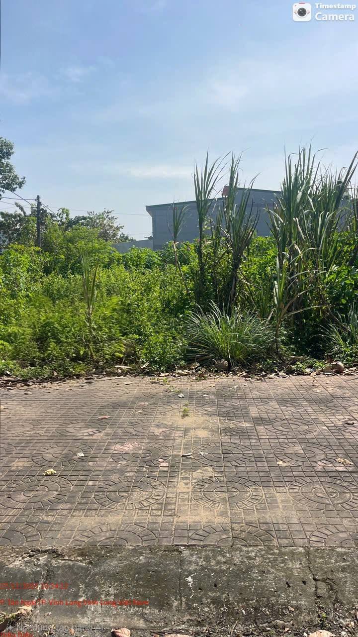 Đất nền thổ cư 100m² tại Tân Ngãi, Vĩnh Long giá chỉ 1.2 tỷ - Vị trí đắc địa, sẵn sàng xây dựng!