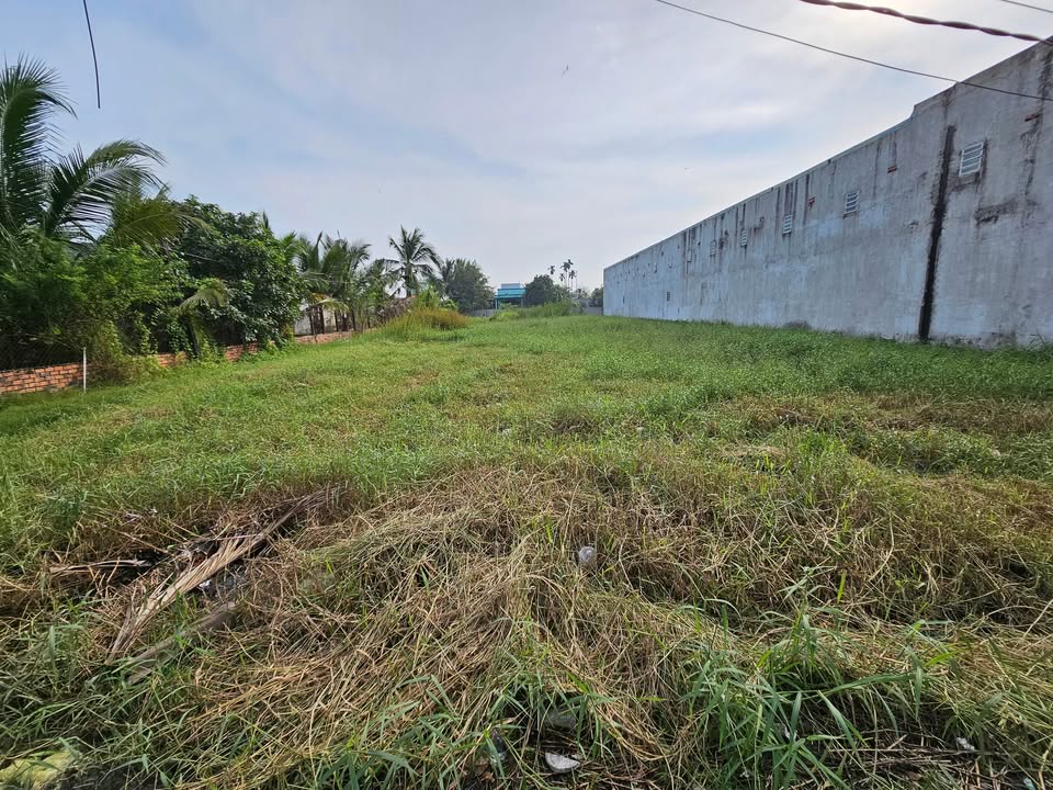 Đất thổ cư Đức Hòa Hạ 125m² giá 1.8 tỷ - Sổ hồng chính chủ