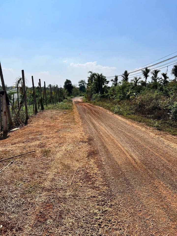 Đất thổ cư đường Phạm Hồng Thái, Buôn Hồ 550m² giá chỉ 1.6 tỷ - Cần bán gấp!