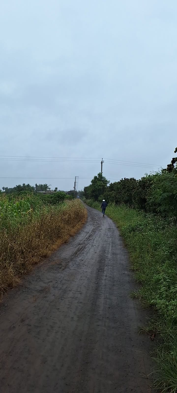 Đất nền chính chủ Phú Xuân 3850m² giá 2.4 tỷ - Cơ hội đầu tư tiềm năng!