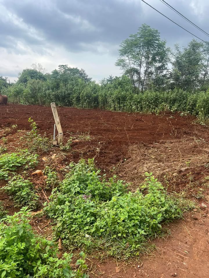 Đất nền mặt đường Đinh Núp, Buôn Ma Thuột 50m² giá chỉ 1 tỷ - Cơ hội đầu tư hấp dẫn!