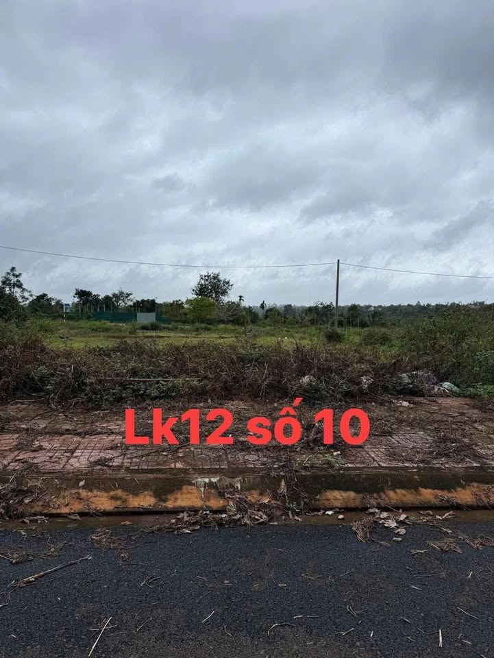 Đất nền khu đô thị Palama Buôn Hồ 120m² giá 1.75 tỷ - Cơ hội đầu tư tuyệt vời!