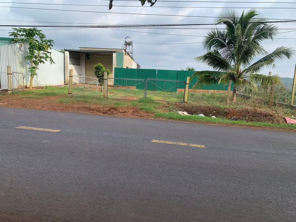 Đất mặt tiền Tỉnh lộ 8, xã Pơng Drang, 6000m² giá 7 tỷ - Đầu tư sinh lời ngay!