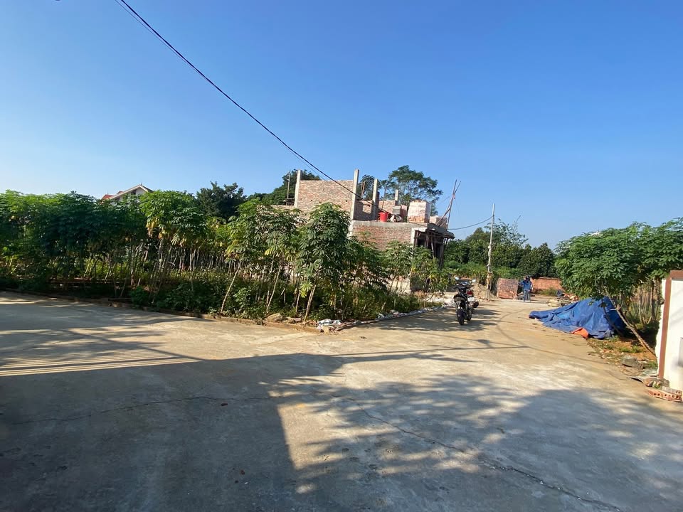 Đất thổ cư 100m² tại Khu 5 Thanh Đình, Phú Thọ chỉ 800 triệu - Phong thủy tốt, dân cư đông đúc!