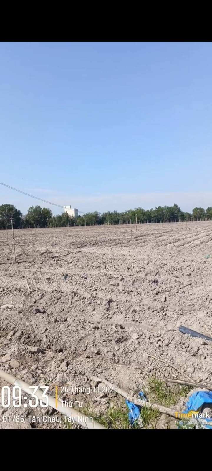 Đất Farm 20 hecta Thạnh Đông, Tân Châu - Giá 65 tỷ - Gần núi Bà Đen