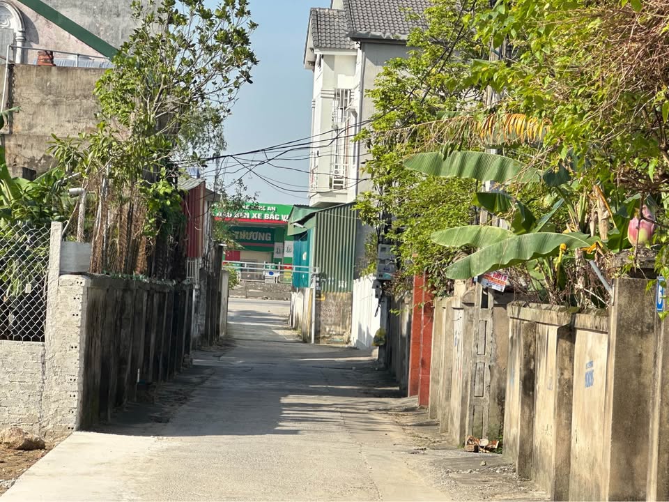 Đất Nghi Liên TP Vinh 98.5m² - Giá Đầu Tư Tốt, Sẵn Sàng Sang Nhượng!