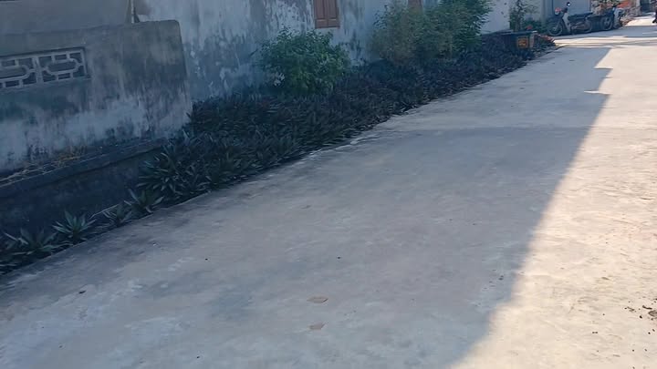 Đất nền Nghĩa Bình, Nam Định 110m² - Sổ đỏ chính chủ, giá thỏa thuận!