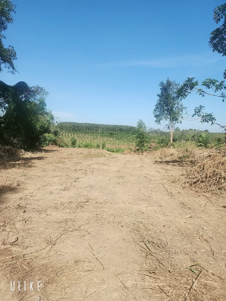 Đất nền Tam Lập, Phú Giáo 86400m² giá 2.1 tỷ - Cơ hội đầu tư sinh lời!