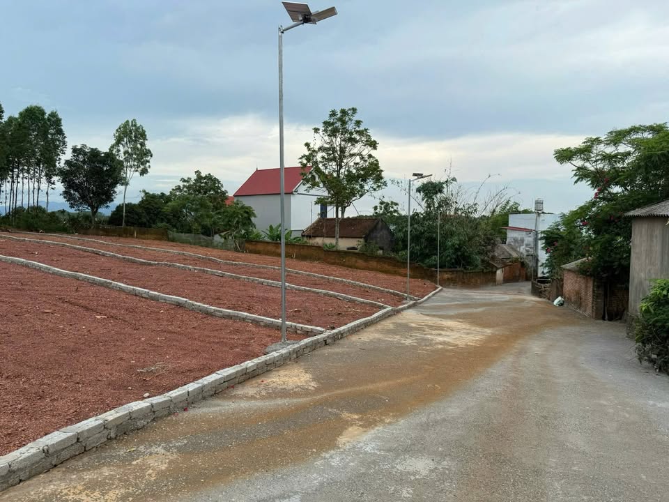 Đất nền Thanh Lâm Lục Nam 270m² - Mặt tiền 6.6m - Giá chỉ 5XX triệu!