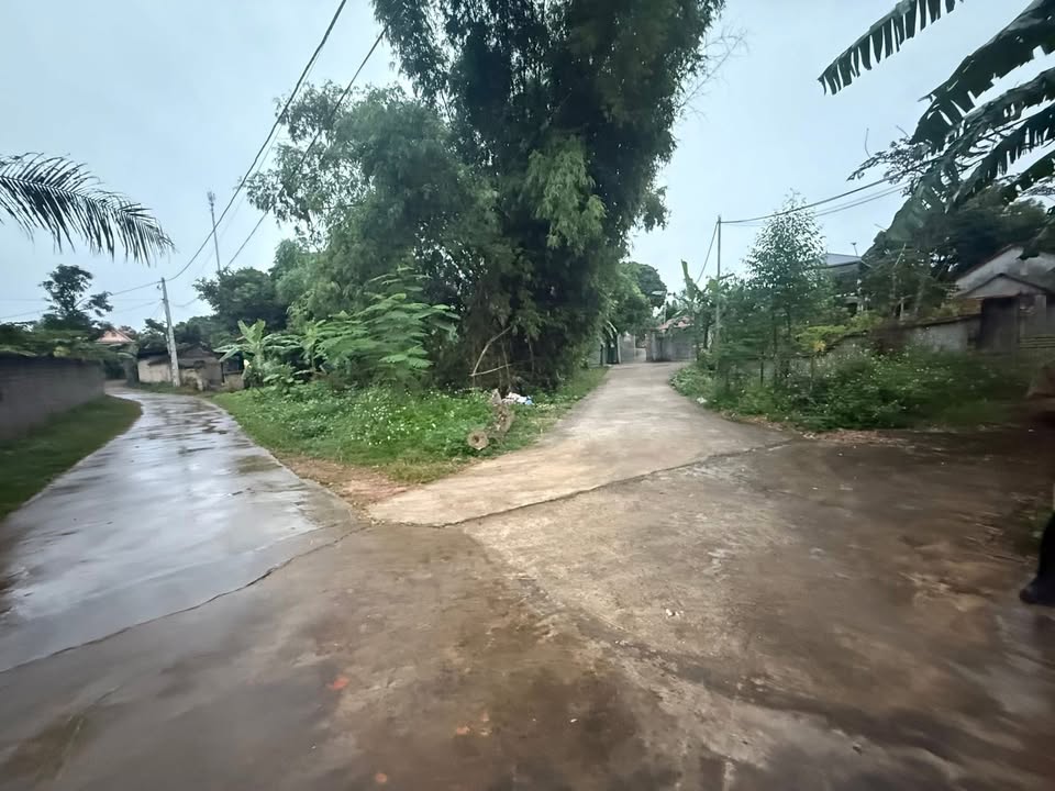 Đất Ngọc Mai, Chu Điện, Lục Nam 136m² giá 400 triệu - Cơ hội đầu tư sinh lời!