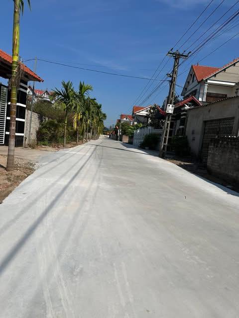 Đất thổ cư Tân Mùi, Lục Nam, 248.6m² chỉ 1 tỷ - Vị trí đắc địa cho đầu tư!