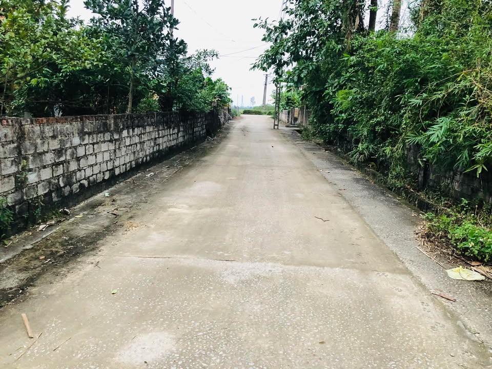 Đất thổ cư Tiên Trang 200m² giá 400 triệu - Đường thông ô tô vào tận nơi!