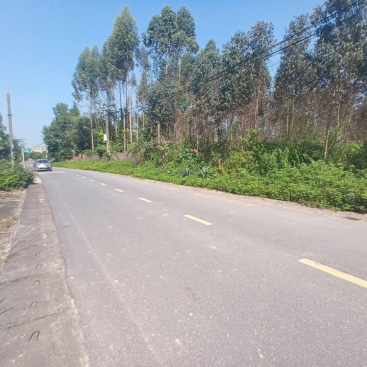 Đất nền mặt tiền đường Quế Hoa, xã Hy Cương, 971m² - Cơ hội đầu tư hấp dẫn!