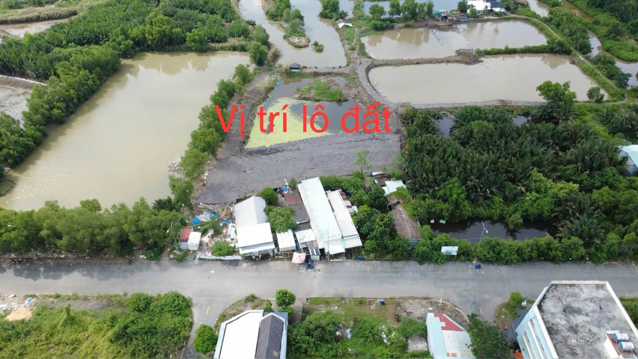 Đất lúa 3.350m² đường Số 8, Long Hậu - Giá chỉ 5.6 tỷ - Phù hợp làm kho bãi!