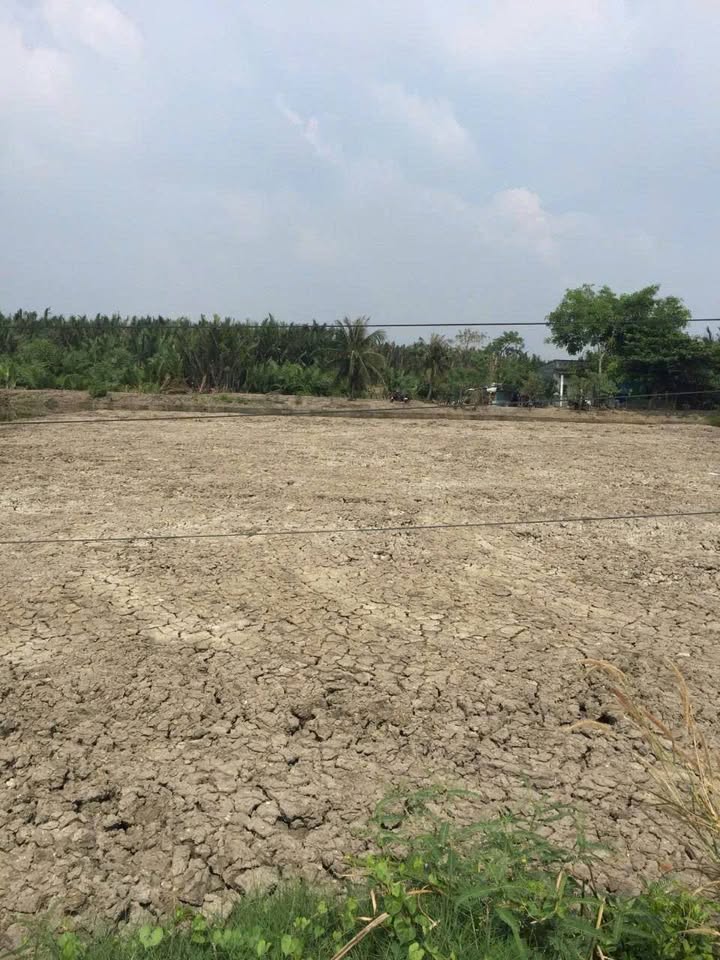 Lô đất mặt tiền đường Tân Thanh – Rạch Gàng, 2792m² giá chỉ 10 tỷ - Cơ hội đầu tư hấp dẫn!