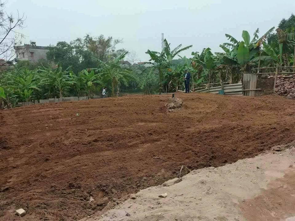 Đất Hữu Ái Giang Sơn Gia Bình Bắc Ninh 306m² giá 4.9 tỷ - Đường ô tô thông thoáng!