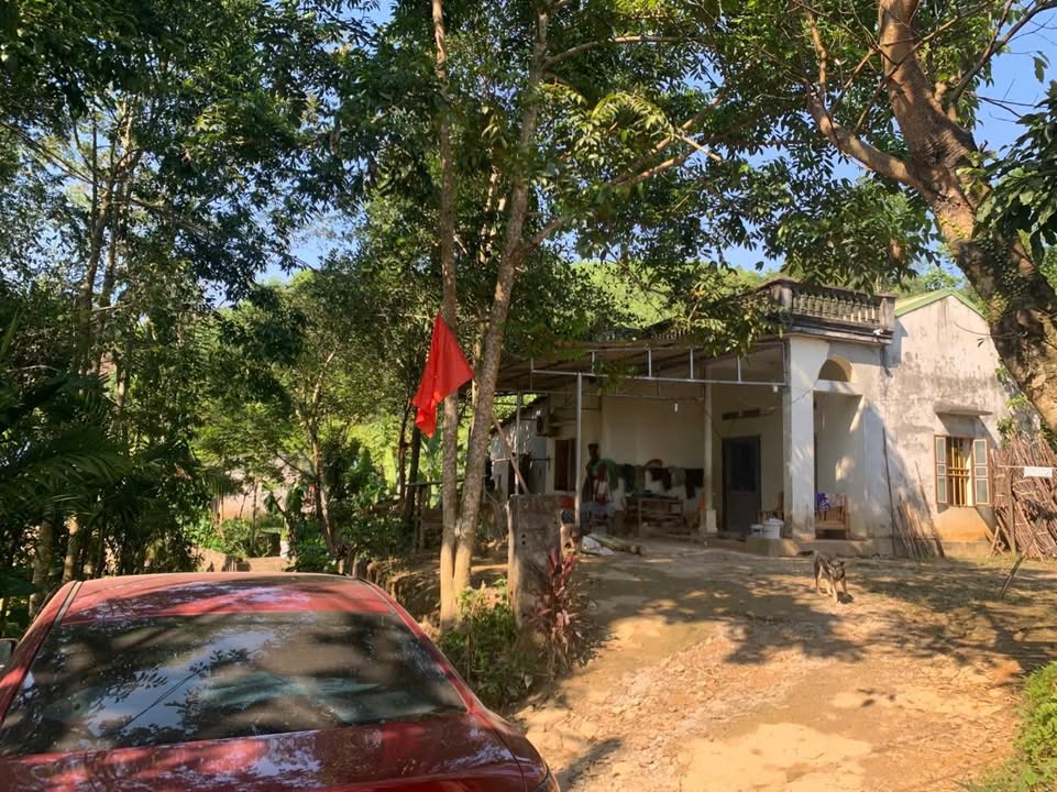 Đất Farm view hồ tại xã Toàn Thắng, Hòa Bình 526m² giá chỉ 499 triệu - Tiềm năng đầu tư lớn!