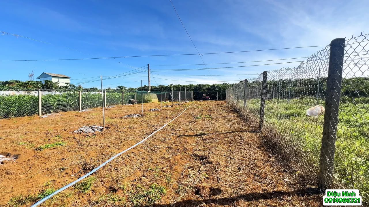 Đất Hẻm Nguyễn Thái Bình, Bảo Lộc 1.130m² giá 2.65 tỷ - Giá hạ nhanh chóng!