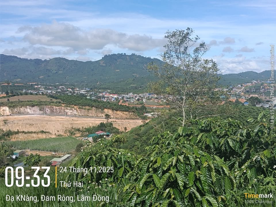 Đất nền Tân Hà 300m² giá 350 triệu - Sổ đỏ chính chủ, vị trí đẹp!