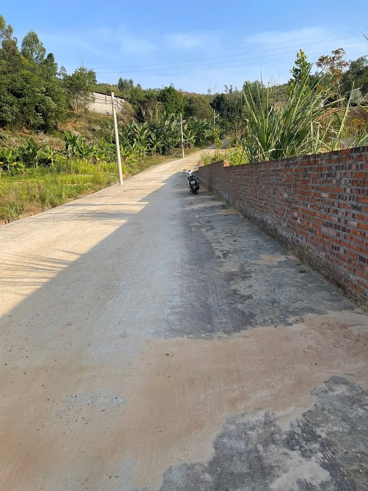 Đất nền tại xã Thanh Sơn, Phú Thọ 3000m² - Cơ hội đầu tư tuyệt vời!