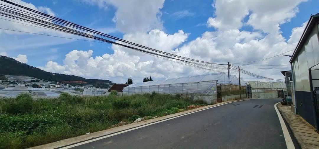 Đất thổ cư đường Thái Phiên, Đà Lạt 650m² giá 9.5 tỷ - Sổ đỏ chính chủ!