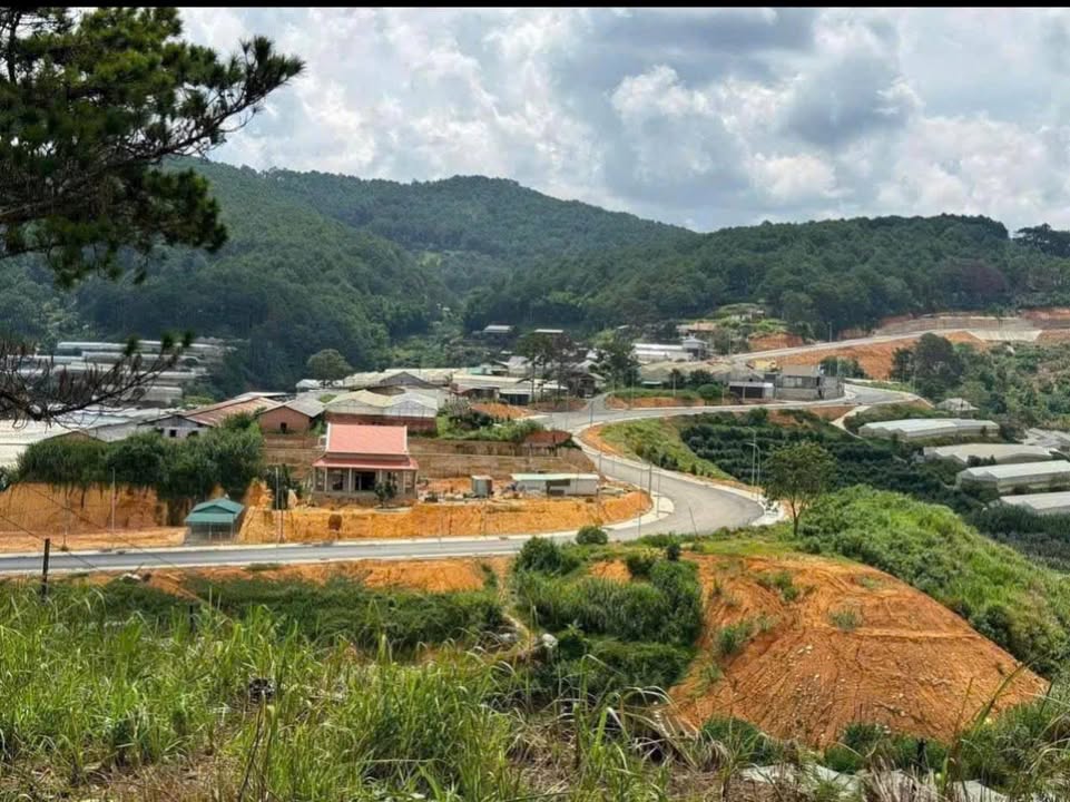 Lô đất Giáp Rừng Thông An Sơn P4 Đà Lạt 236m² giá 8.5 tỷ - Không khí trong lành, thích hợp nghỉ dưỡng!