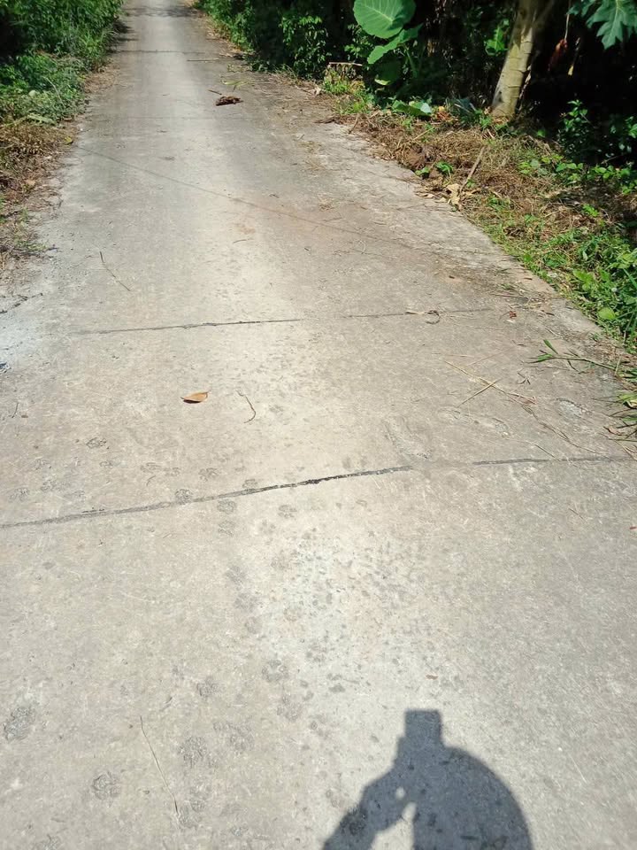 Đất nền Thạnh Bình, Châu Thành, 20m² - Giá tốt, thỏa thuận ngay!