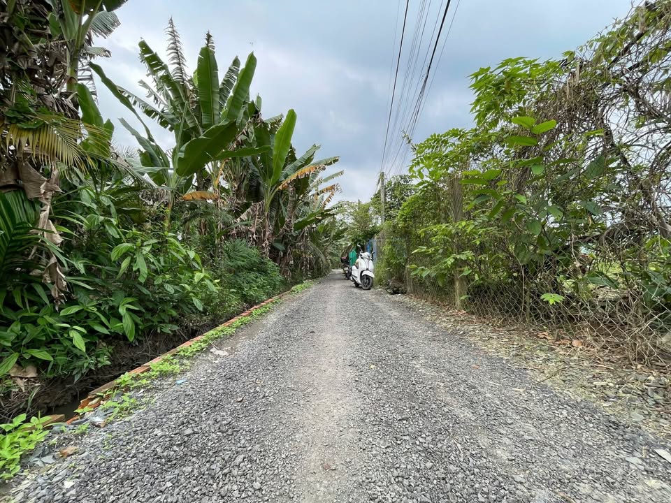 Đất vườn 870m² xã Long An, Châu Thành - Giá chỉ 850 triệu, ô tô vào tận nơi!