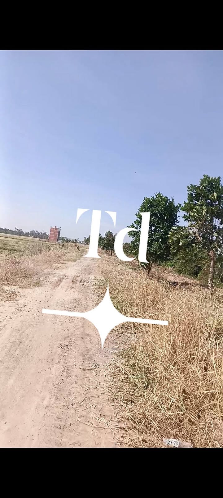 Đất nền 520 công Phú Hiệp, Tam Nông giá chỉ 7.15 tỷ - Đầu tư sinh lời ngay!