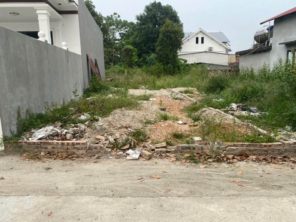 Đất thổ cư Đạo Tú, Tam Dương 105m² giá chỉ 1 tỷ - Cơ hội đầu tư tuyệt vời!