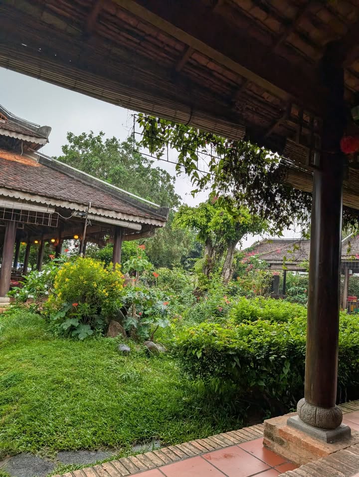 Đất thổ cư Suối Đá Dương Minh Châu 341m² giá chỉ 105 triệu - Cơ hội đầu tư sinh lời!