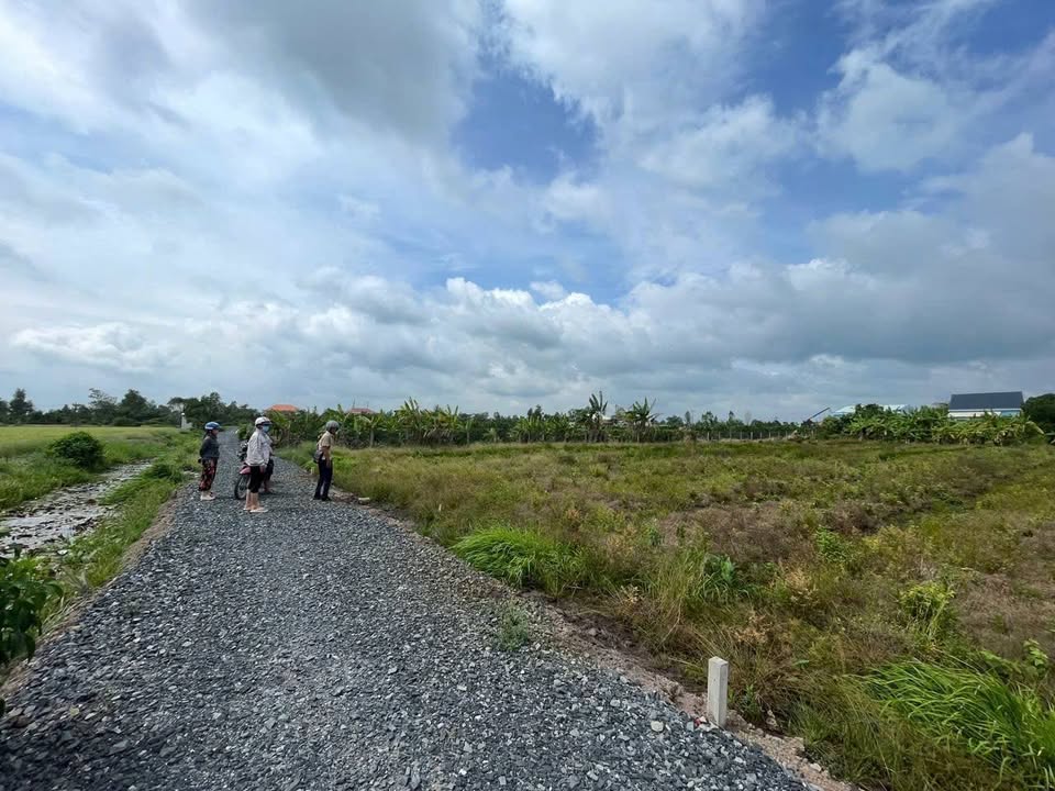 Đất vườn Tân Thành Thủ Thừa 1000m² giá 800 triệu - Đầu tư sinh lời ngay!