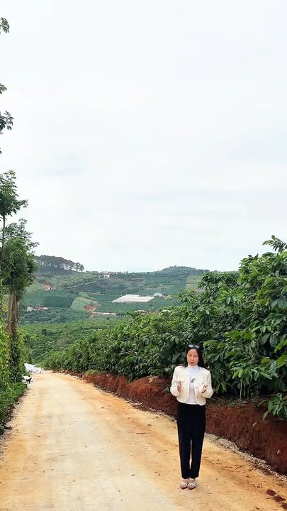 Đất nền Cam Ly Đà Lạt 1.600m² giá chỉ 800 triệu - Cơ hội đầu tư tuyệt vời!