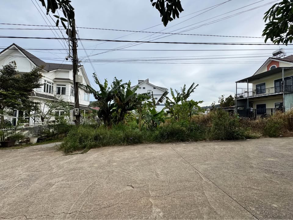 Lô đất Nam Hồ Đà Lạt 248m² giá 10.5 tỷ - Vị trí đẹp, thế đất hiếm!