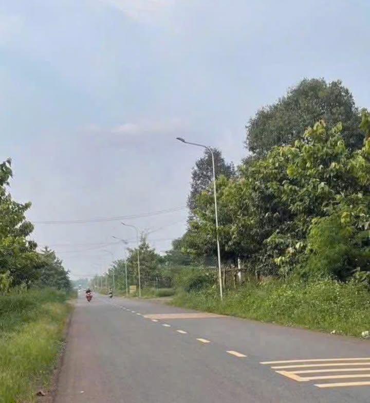 Đất mặt tiền đường Suối Đá, Gia Kiệm 3600m² giá chỉ 1.25 tỷ - Sổ đỏ chính chủ!