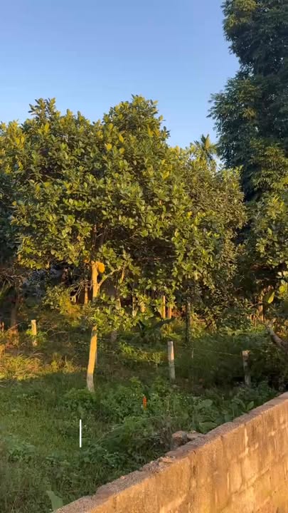 Đất Farm 1ha tại Hợp Thành, Kỳ Sơn, Hòa Bình - Tiềm năng đầu tư vượt trội!