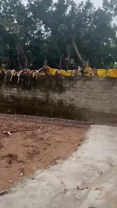 Đất nền 322m² Xuân Đình - Phúc Thọ, Hà Nội giá 3.22 tỷ - Sổ đỏ chính chủ, tách lô linh hoạt!